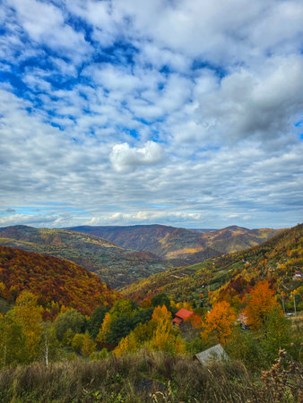 Beautiful autumn view over the valley and forest mountains with colorful leafage and blue sky with white clouds. Muntele Rece, Cluj, Romaniaの写真素材