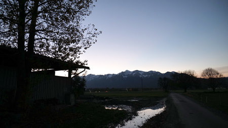 Puddle of water, shed and tree next to country road at eveningの写真素材