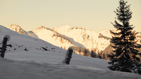 Single fir tree in winter landscape with mountains in backgroundの写真素材