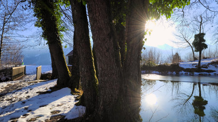 Sunbeams shining past the tree and reflected in the water of a small lake in winter with snow on the ground and tiny bridge next to it in Austriaの写真素材