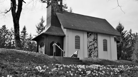 Blurry Small white chapel on a hill behind white flowers, next to a wooden bench in Dornbirn, Austria in black and whiteの写真素材