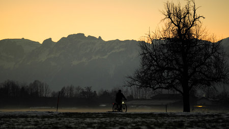 Silhouette of a cyclist with light in winter next to a tree, fog on the ground and mountains in background in twilightの写真素材