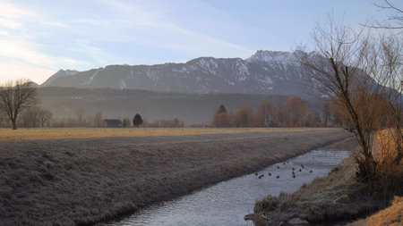 River in winter morning landscape with ducks swimming on it and snow covered mountains in backgroundの写真素材