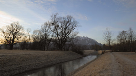 River in winter landscape on which ducks swim next to bare trees with birds nests and snow covered mountains in backgroundの写真素材