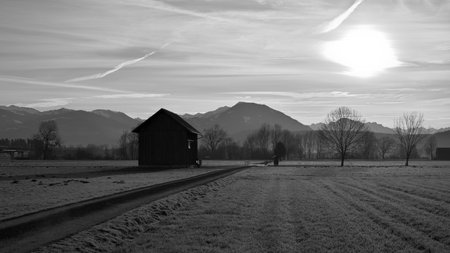 Wooden hut next to landscape path with trees and mountains in background in black and whiteの写真素材