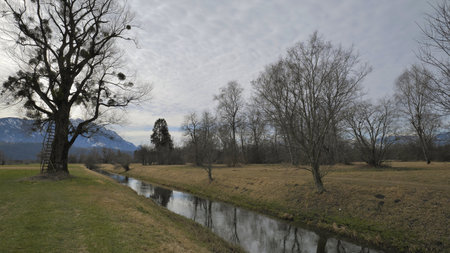 River in winter between bare trees and leaning ladder under overcast sky and mountains in backgroundの写真素材