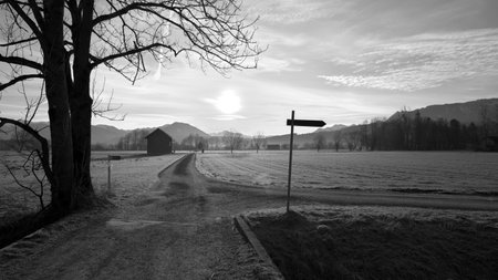 Signpost on country road next to tree with wooden hut and mountains in background in black and whiteの写真素材