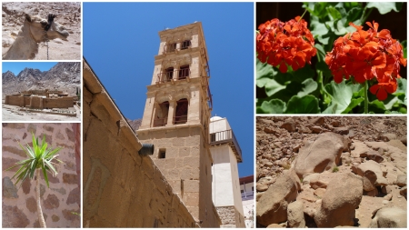 Egypt collage holiday, sun, Sinaiの写真素材