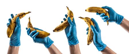 Some hands with blue latex glove holding a bananaの写真素材