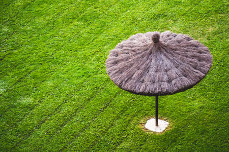 Heather umbrella (âgarbricâ heather) in a green grass floor to lay back and relax on a sunny summer day.の写真素材