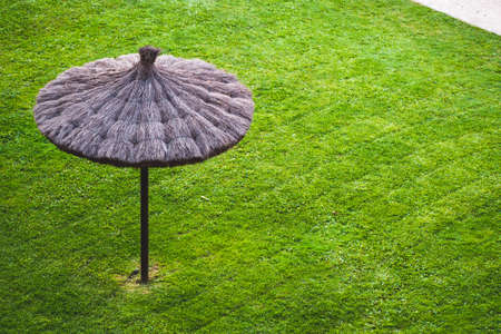 Heather umbrella (âgarbricâ heather) in a green grass floor to lay back and relax on a sunny summer day.の写真素材