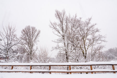Snow covered landscape with wooden fence and trees in the âCasa de Campoâ park in Madrid. Snowing during âFilomenaâ storm.の写真素材