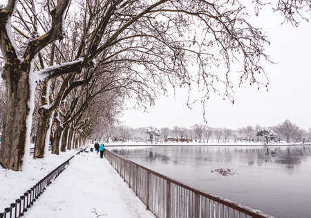 Lake of the âCasa de Campoâ park in Madrid, with trees around and people on the railing. All covered by snow, during âFilomenaâ storm.の写真素材