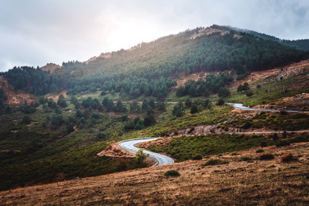Mountain landscape with a road in the middle at sunset on a sunny autumn day. Green and brown tones.の写真素材