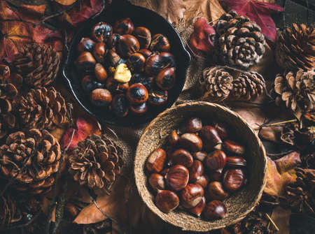 Raw and roasted chestnuts in a small iron pan and a bowl on a table with autumn leaves and pine cones. Ready to eat. Traditional autumn food.の写真素材