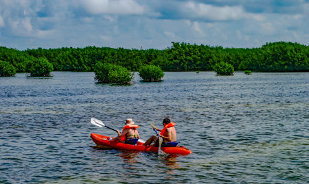 Practicing kayaking in Belizeの写真素材