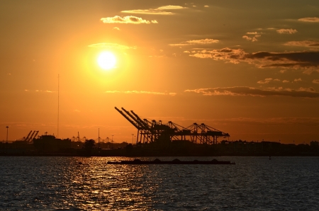 The silhouette of the cranes of New York Port against the sunset