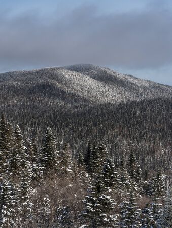 Mountain summit in eastern Canadaの写真素材