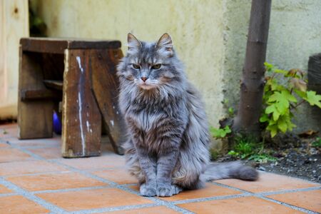 Light bulb recistance front. Black and white. Macroの写真素材