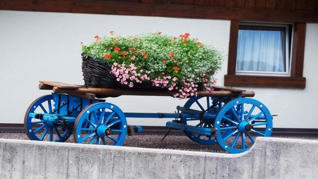 The cart brings flowers (Shooting 2)の写真素材