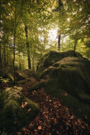 This image was taken in a village called F?rlanden in Switzerland. On the ground there is visible...