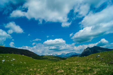 landscape of mountain with tree and clouds