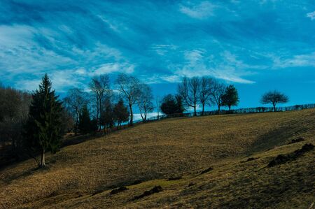 landscape of mountain with tree and cloudsの写真素材