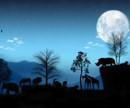 An African landscape with beautiful animalsの写真素材