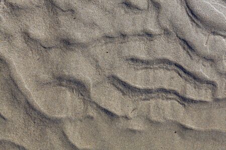 Natural texture in the sand of the beach.の写真素材