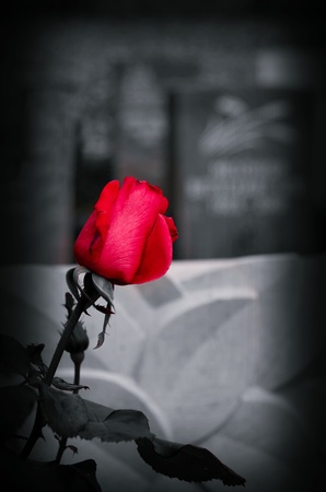 Sadnessの写真素材