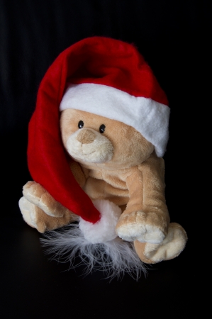 Santa Bearの写真素材