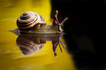 Snail Shipの写真素材