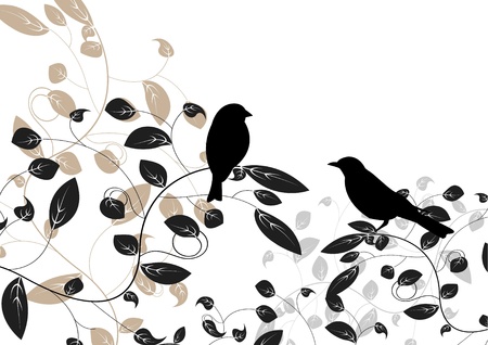 floral an bird of illustrationのイラスト素材