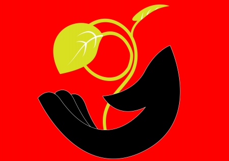 red background flower のイラスト素材