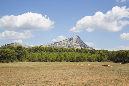 Mount Sainte Victoire in Provence, Franceの写真素材