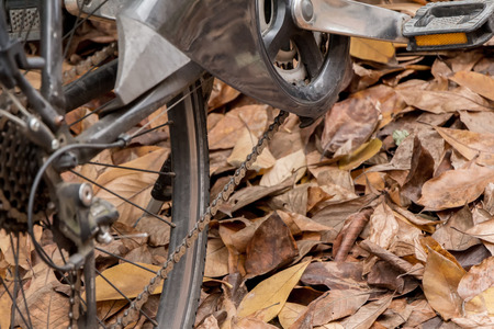 Bicycle close-up on dry leaves (bicycle and autumn concept)の写真素材
