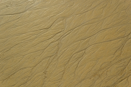 Closeup abstract of sand on the beachの写真素材