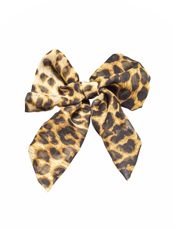 Brown barrette pattern  isolated on white backgroundの写真素材