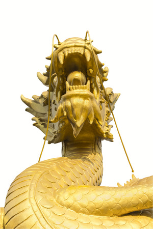 Giant golden dragon statue isolated on white backgroundの写真素材