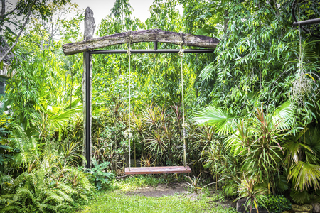 Swing in the garden with green tropical forest backgroundの写真素材