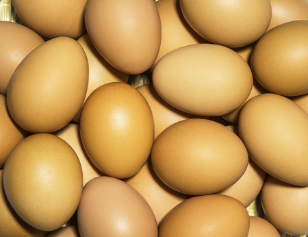 Stack of fresh chicken eggs for backgroundの写真素材