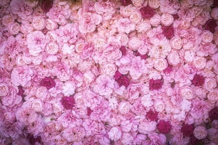 Beautiful many artificial pink flowers on blackgroundの写真素材