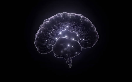 An abstract depiction of a human brain formed by digital fibers and glowing light points on a black background, representing artificial intelligence, machine learning, neural networks, and intellectual thought.の写真素材