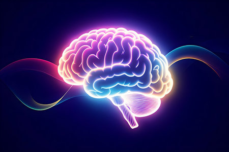 A graphic image of a glowing and vibrant human brain, radiating with multiple colors like pink, purple, and blue. It is set amidst flowing light waves on a dark blue background, representing the concepts of brain power, creativity, innovation, imagination, intelligence, and complex data processing.の写真素材