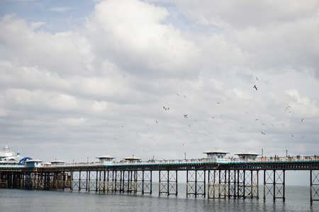 Pier of Llandudno North Wales, England, UK with Seagull Birds flyingの写真素材