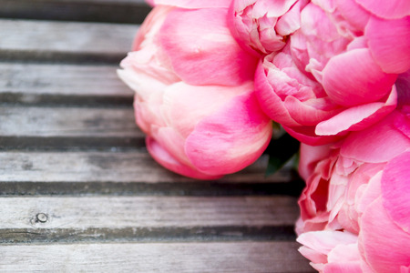 Bright Pink Peonies on Wooden Background with Space for textの写真素材