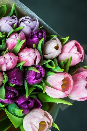 Bunch of Colorful Tulipsの写真素材