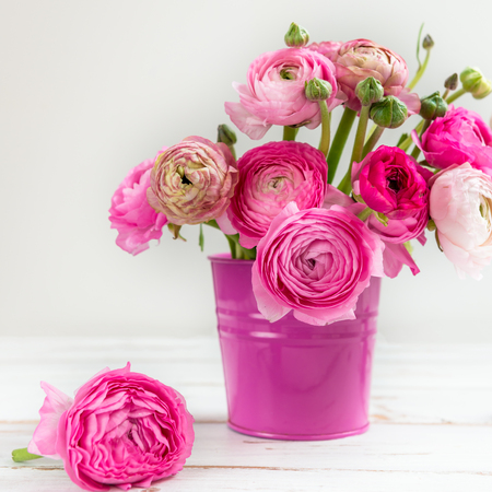 Bouquet of Pink Ranunculus Buttercup Flowers in Pink Pot on Light Background, Space for Textの写真素材