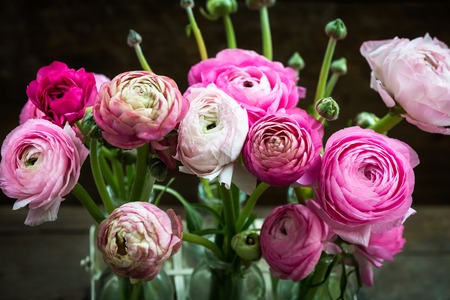 Close up of Bouquet of Pink Ranunculus Buttercup Flowers on Dark Wooden Backgroundの写真素材