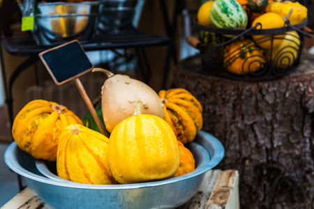 Variety of colorful ornamental pumpkins, gourds and squashes in the market, harvest and autumn conceptの写真素材